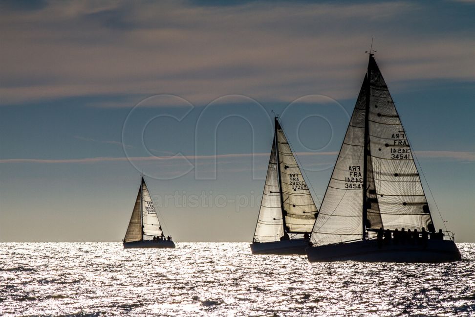 Lire la suite à propos de l’article Automnales – Hivernales 4 -15 Déc 2013