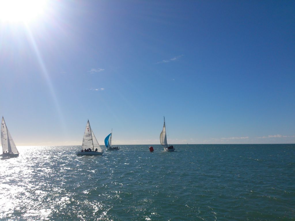 Lire la suite à propos de l’article Automnales Hivernales 6 – 02 Fév 2014